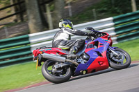 brands-hatch-photographs;brands-no-limits-trackday;cadwell-trackday-photographs;enduro-digital-images;event-digital-images;eventdigitalimages;no-limits-trackdays;peter-wileman-photography;racing-digital-images;trackday-digital-images;trackday-photos